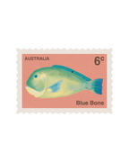 Fish Stickers
