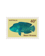 Fish Stickers