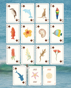Roadtrip Icon - Waterproof Playing Cards