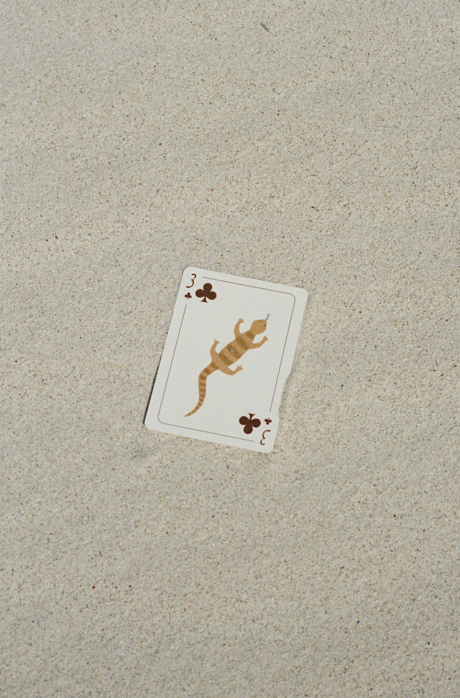 Roadtrip Icon - Waterproof Playing Cards