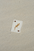 Roadtrip Icon - Waterproof Playing Cards