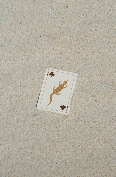 Roadtrip Icon - Waterproof Playing Cards